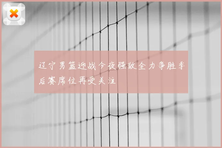 辽宁男篮迎战今夜强敌全力争胜季后赛席位再受关注